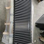 Design Radiator Thermic, zwart